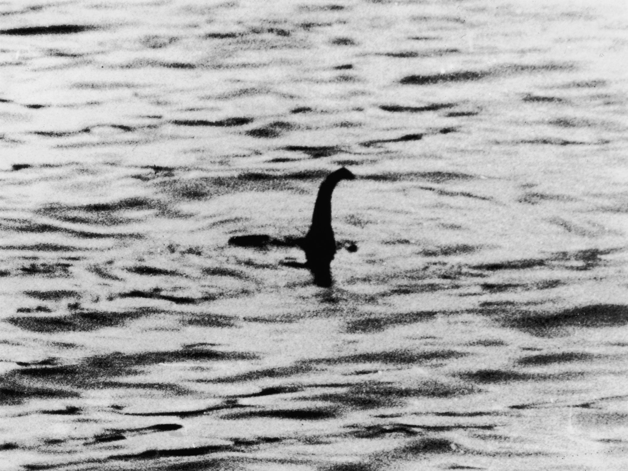 A 1914 ‘photo’ of Nessie, later revealed to be a fake