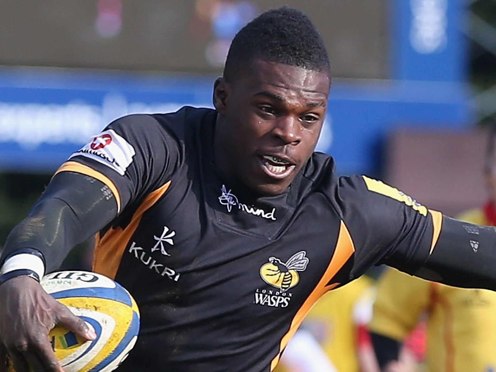 Christian Wade, Rugby Union News