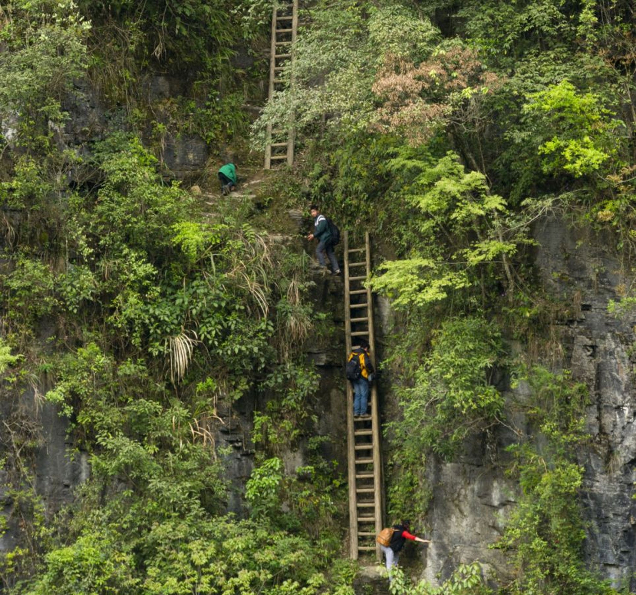 Children clamber down these unsecured ladders to get to school