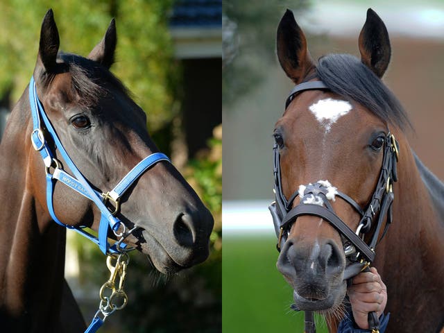 Black Caviar (left) and Frankel