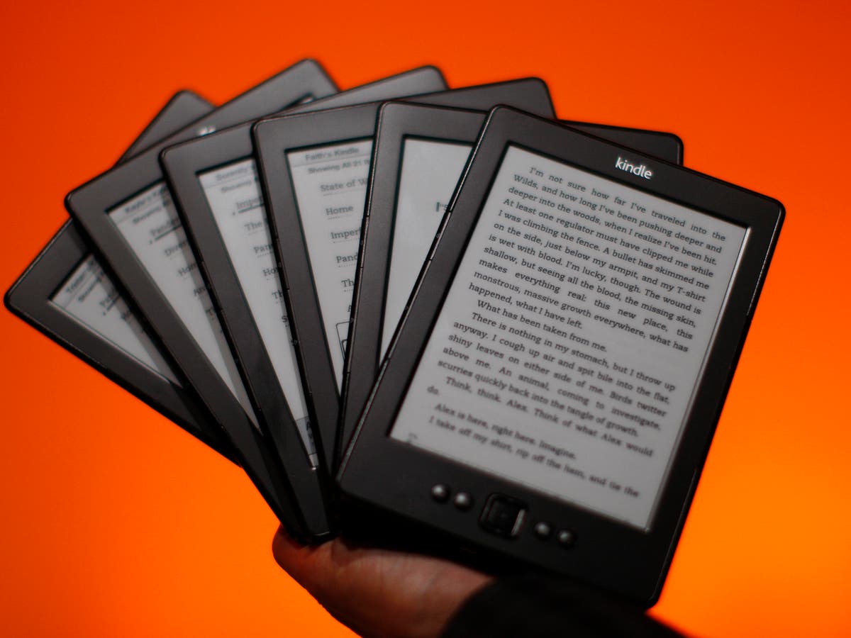 Sales of Kobo and Amazon Kindle lead to ereader success story as 8m in UK own one despite