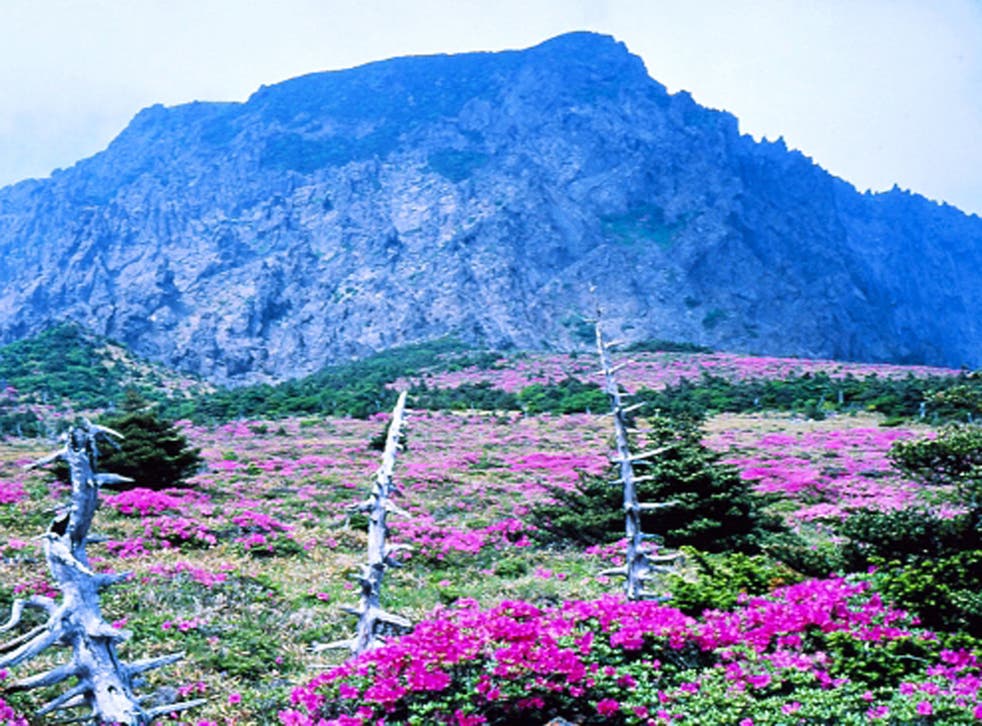 Great escape: more than 10m people fly to Jeju from Seoul annually