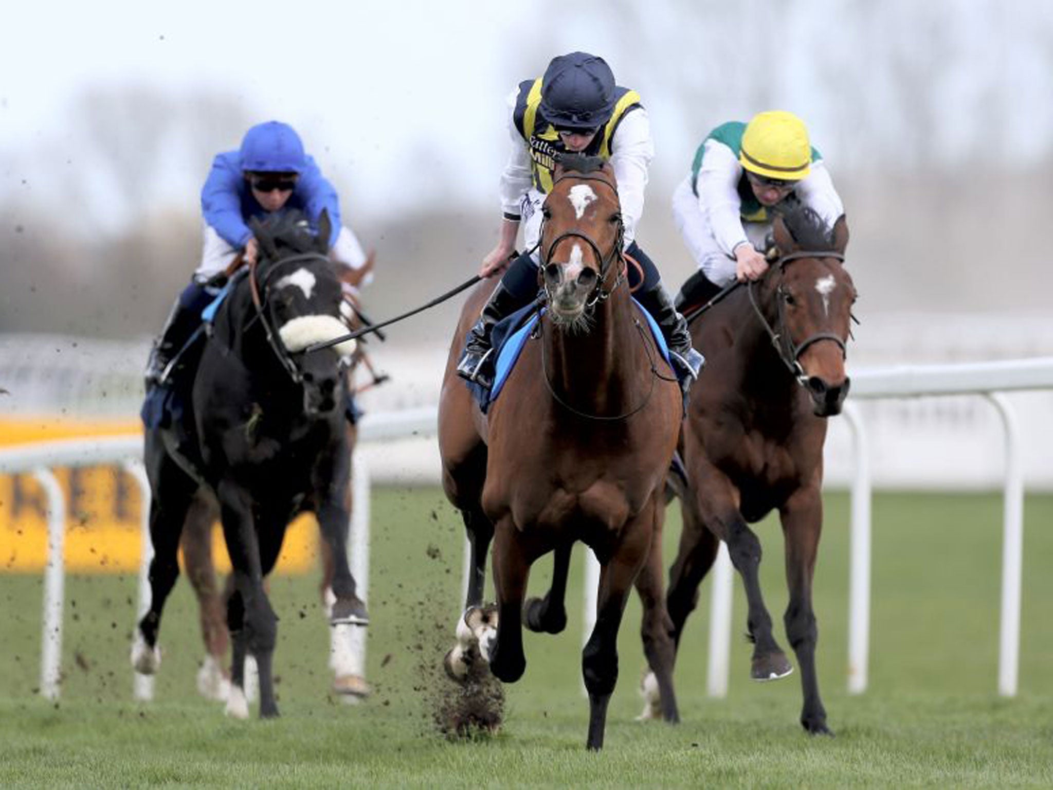 Contributer, ridden by Ryan Moore (centre), on his way to victory from Cruck Realta (right) and Cap O’Rushes in the Dubai Duty Free Golf World Cup EBF Conditions Stakes at Newbury yesterday