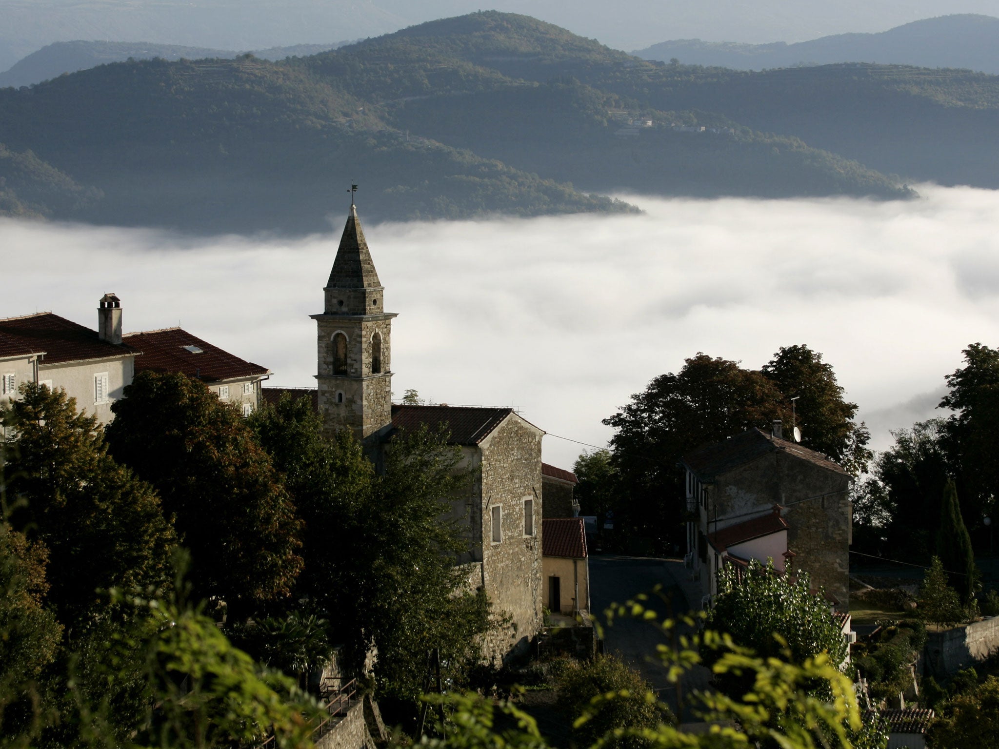 Green scene: Clouds shroud the woods of Motovun in Istria
