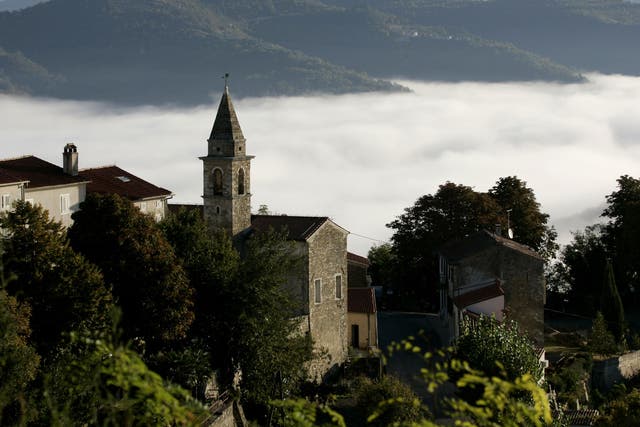 Green scene: Clouds shroud the woods of Motovun in Istria