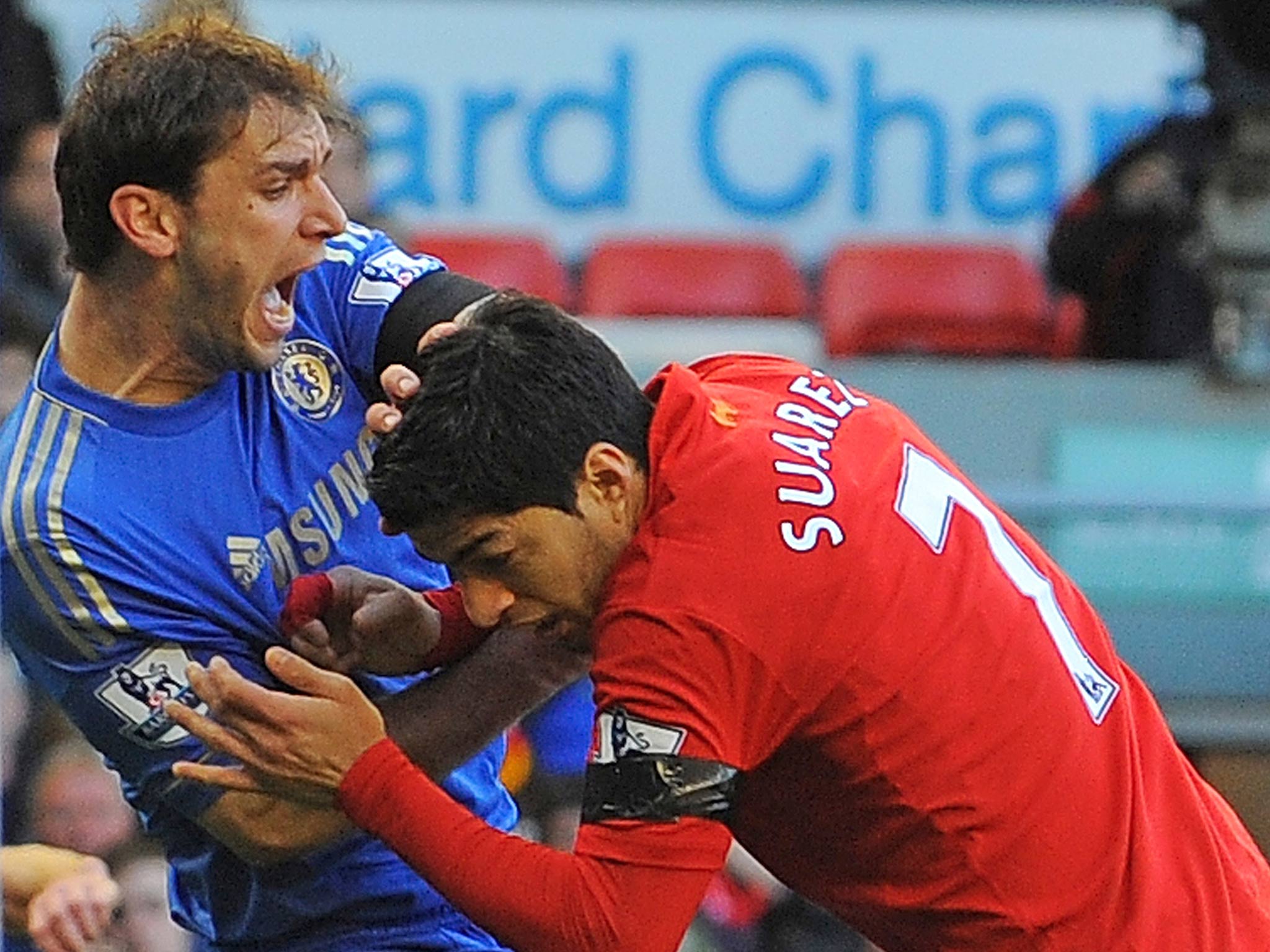 Branislav Ivanovic reacts after being bitten by Luis Suarez