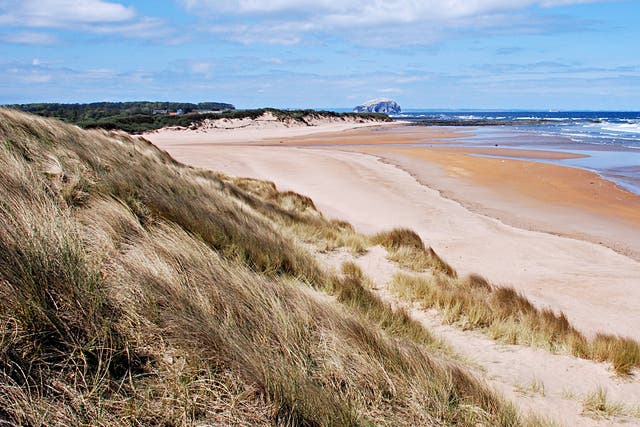 Dune roaming: the East Lothian shore near Edinburgh and location of Harvest Moon Holiday's luxury tents