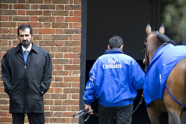 Owner Sheikh Mohammed is severely embarrassed that some of his top horses are involved