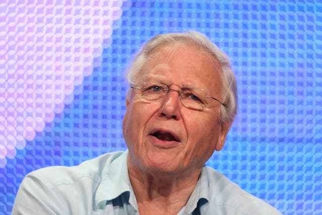 Sir David Attenborough is to present Tweet Of The Day on Radio 4