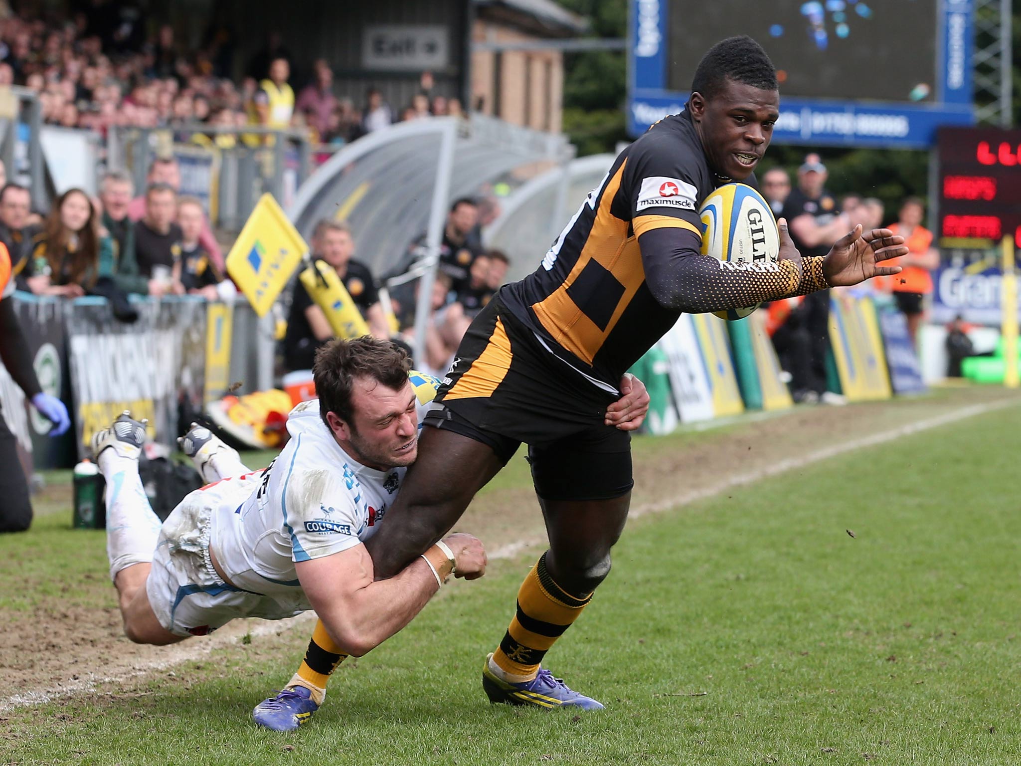 Wasps wing Christian Wade moves into Lions contention after