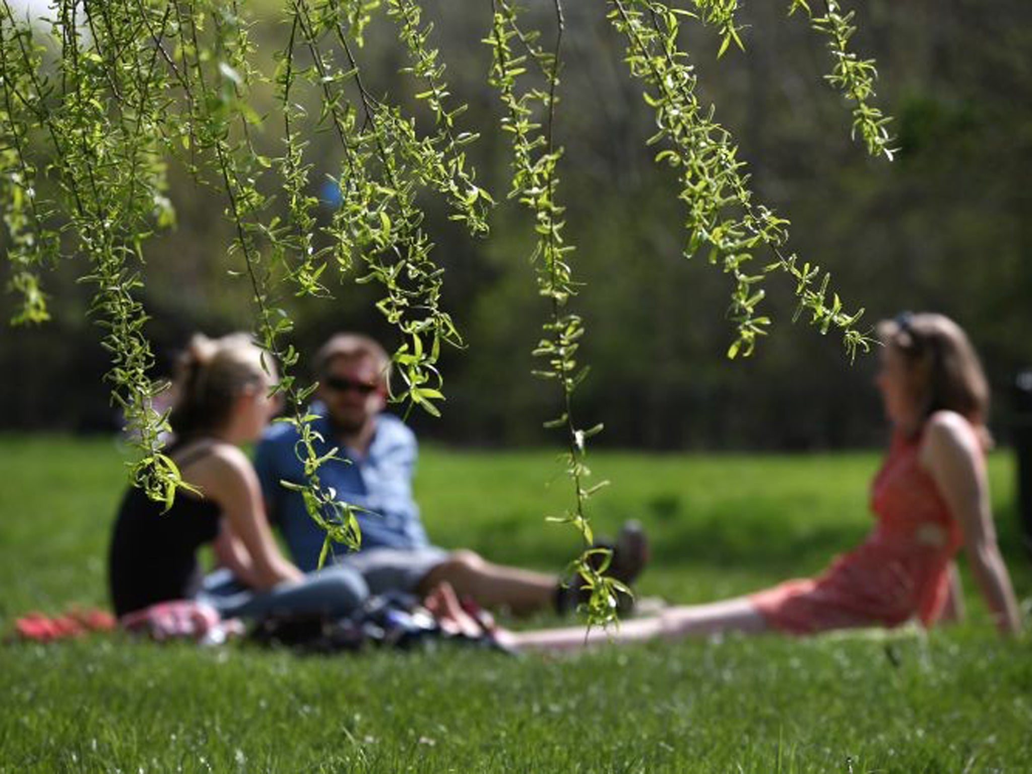People enjoy a picnic on Wednesday in warmer weather in Regent's Park, London