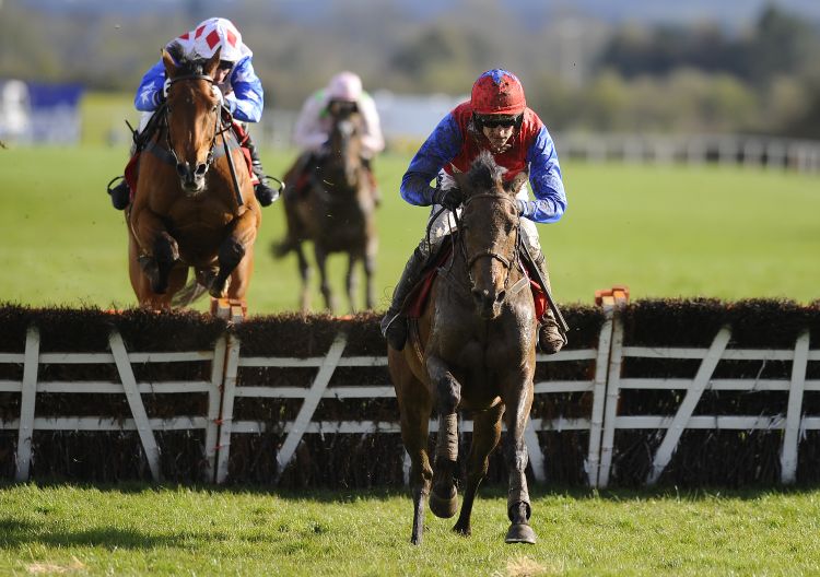 Quevega, under Ruby Walsh, heads for home to win the World Series Hurdle at Punchestown yesterday 
