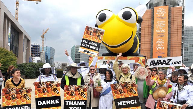 Beekeepers rejoice outside the EU headquarters after the vote