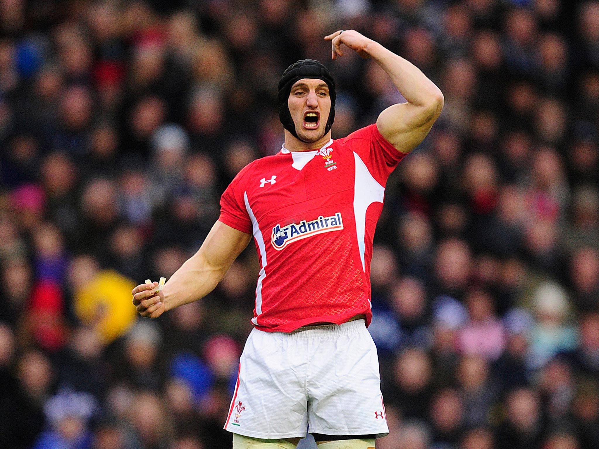 Sam Warburton