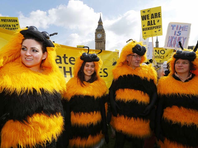 Bee campaigners protest in Parliament Square 