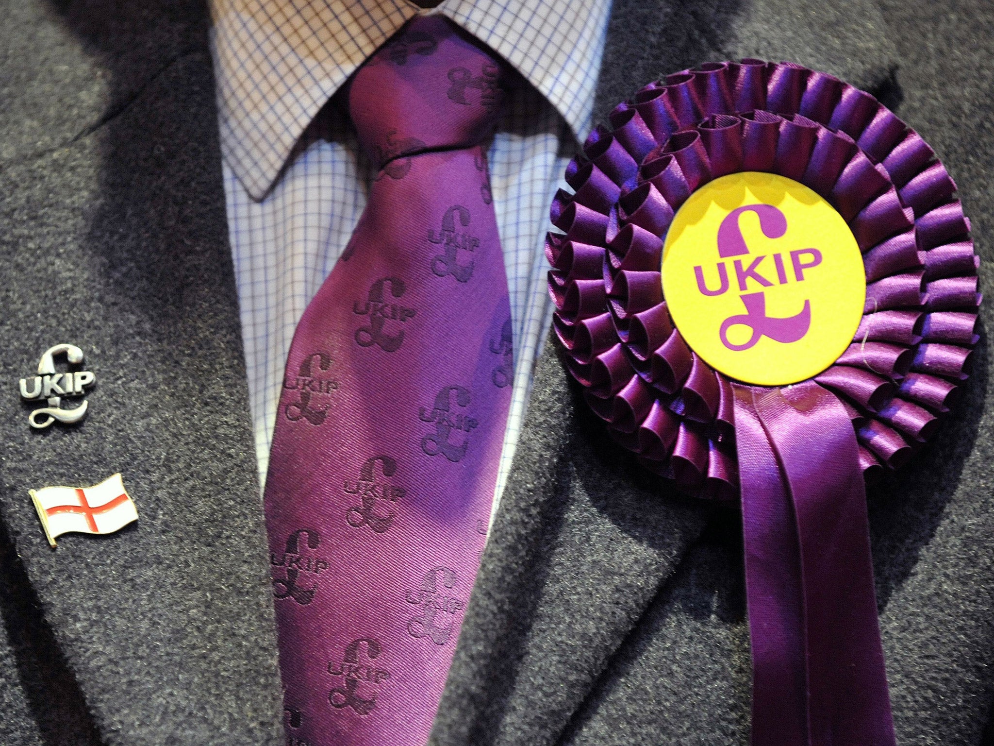 A UKIP candidate's rosette