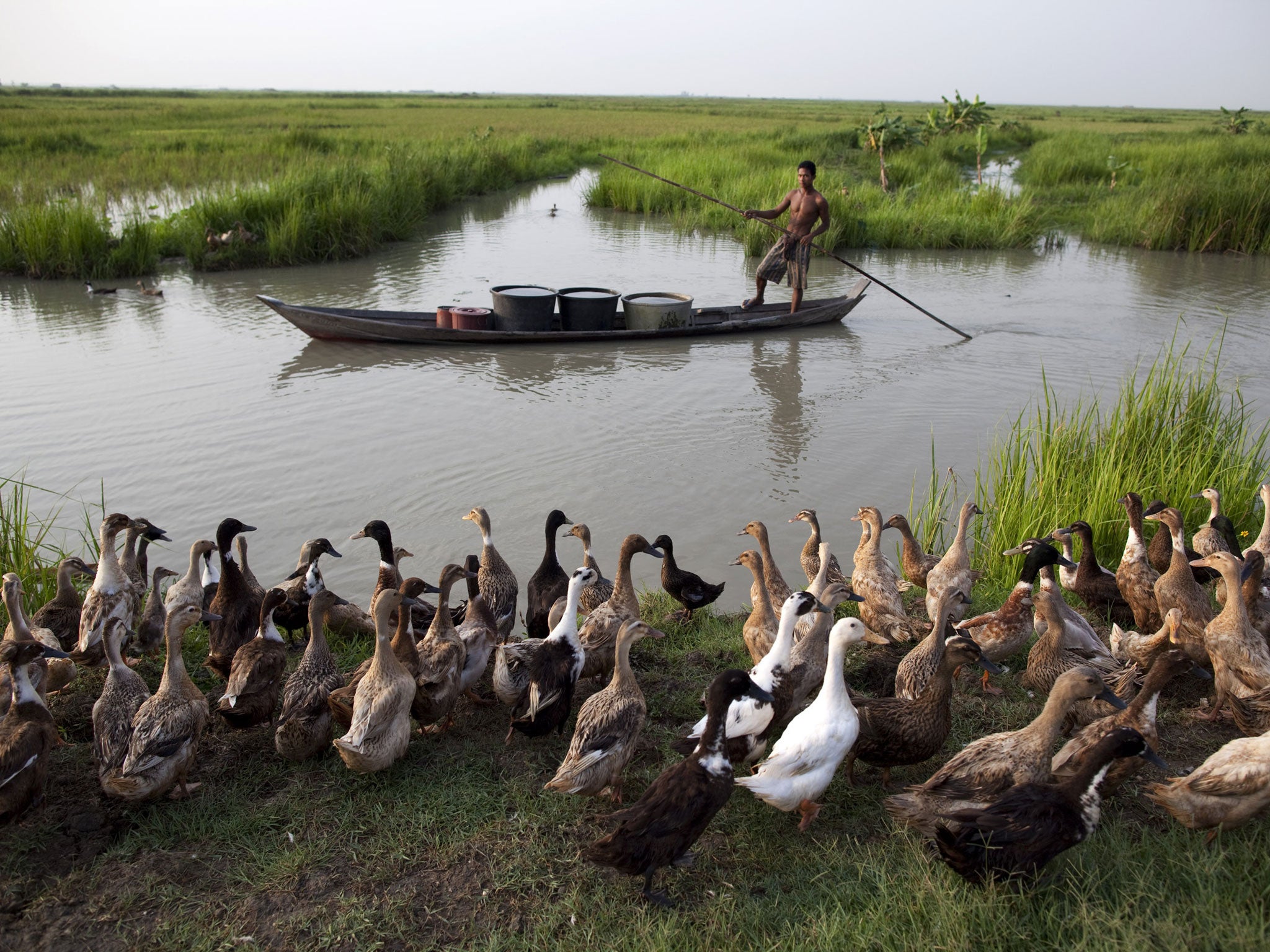 Burma's fertile delta where death was the crop The Independent