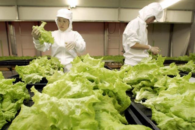 Whether you have invested in Japanese technology, such as that used to grow these leaf lettuces under red LEDs in Hikari, gold or the stock exchange, it is good practice to review your holdings at least once a year