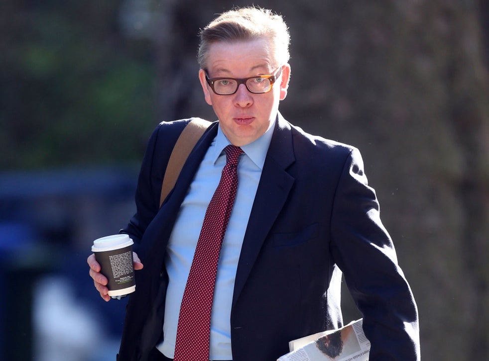 Cabinet Office minister Michael Gove
