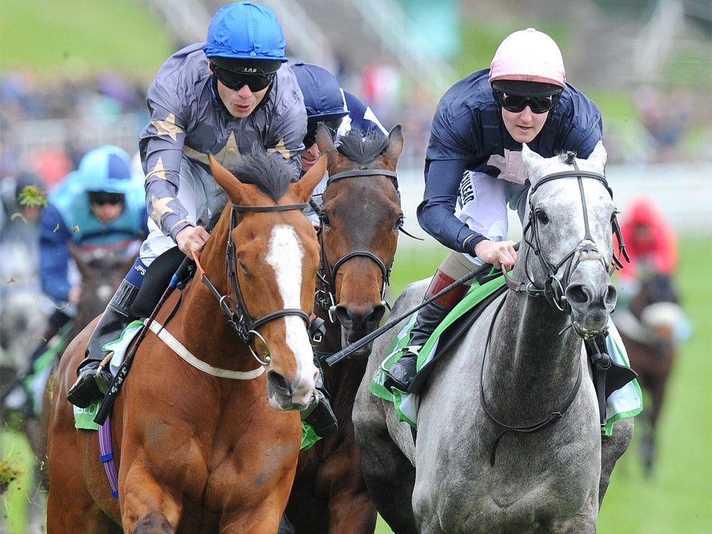 Jamie Spencer lands the Chester Cup yesterday on Address Unknown (left), from the eventual third Tominator