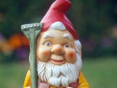 Thirty seven gnomes stolen from elderly woman's garden