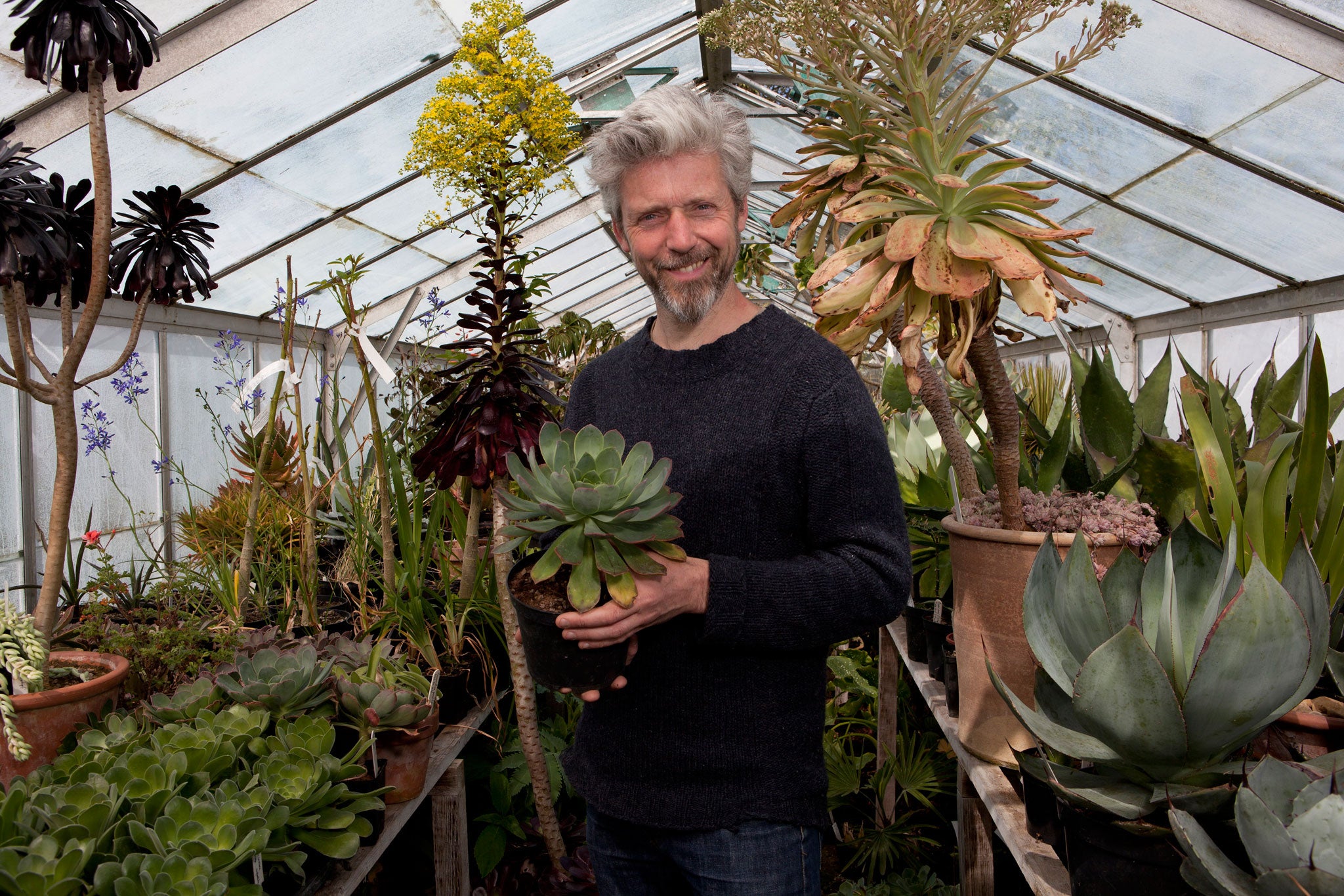 'Obsession is definitely in my character': Nick Macer with some of his lovingly nurtured agaves