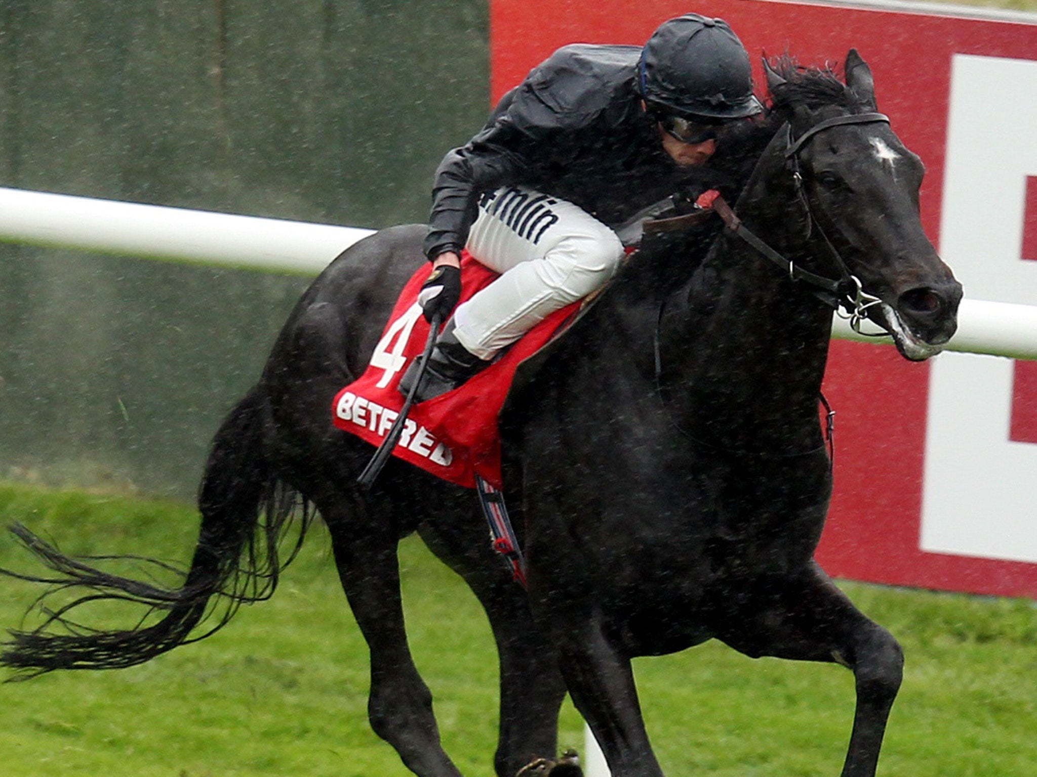 Easy ride: Nevis sees off limited opposition to win the Derby Trial at Lingfield