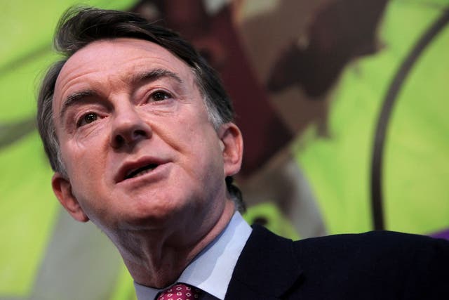 <p>Lord Mandelson, thinking about what the coming year might hold</p>