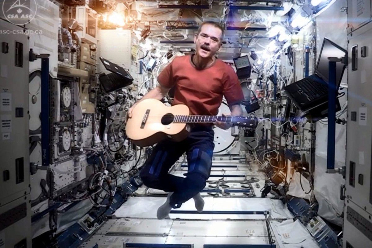 The real Star Man: David Bowie champions Canadian astronaut Chris Hadfield's 'Space Oddity' cover | The Independent | The Independent