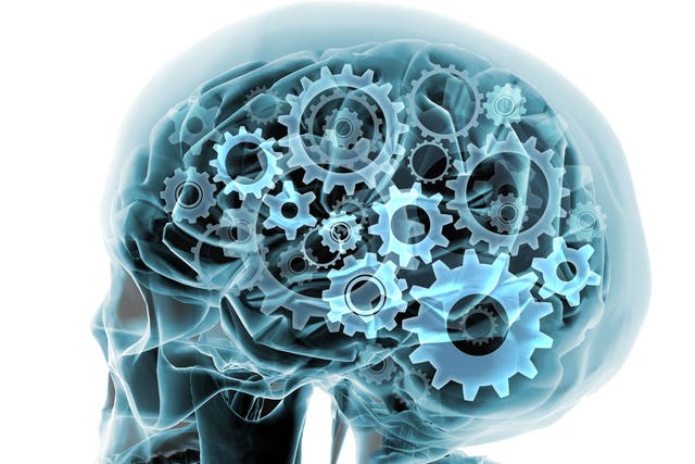 Scientists found that with healthy brains they could estimate to within a couple of hours the time of a person's death