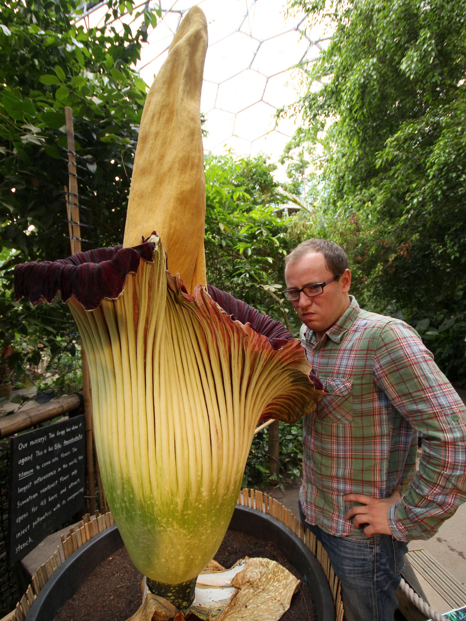 Reporter Tom Peck with the Titan Arum