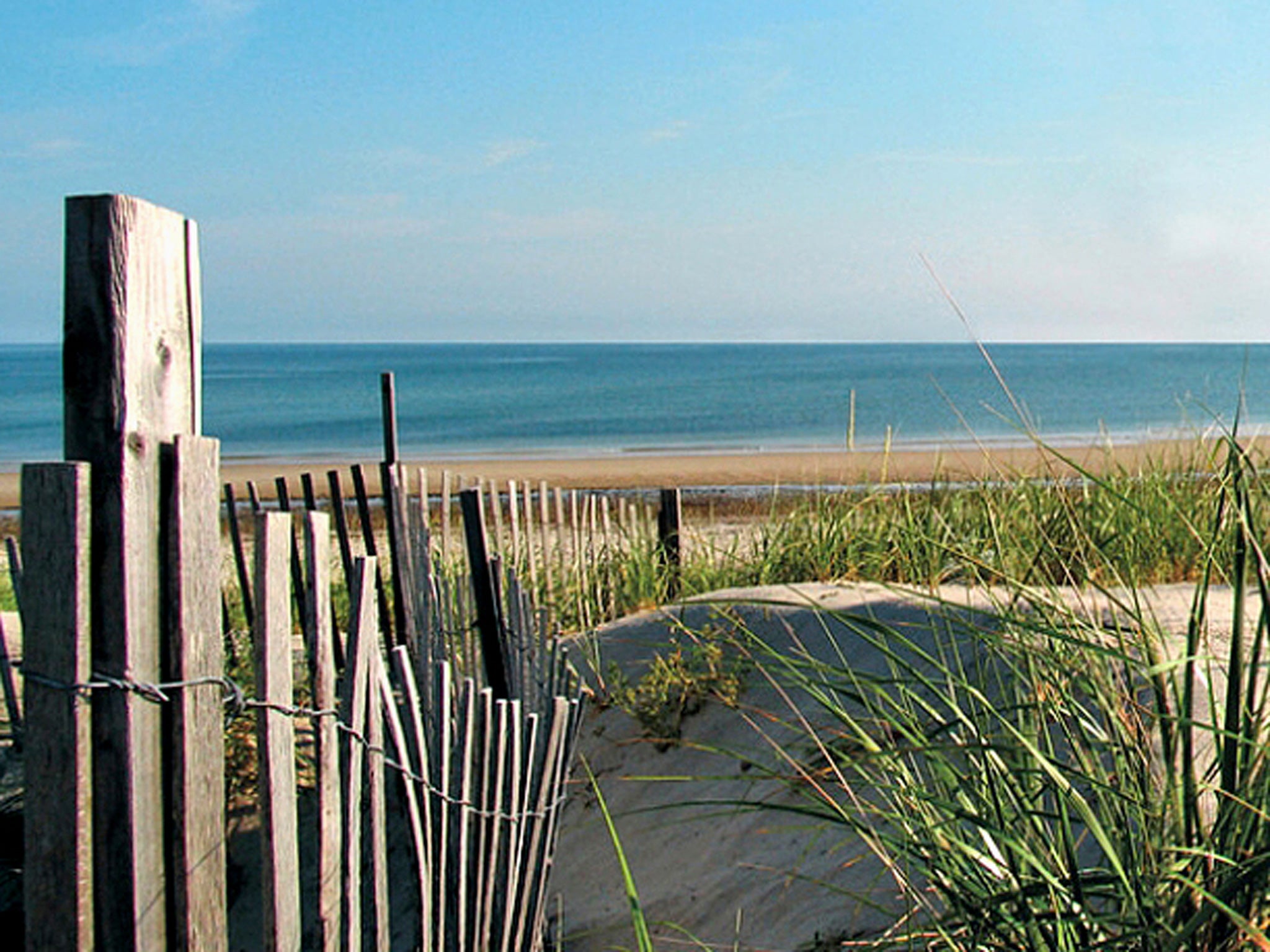 Something fishy: out and about in Cape Cod