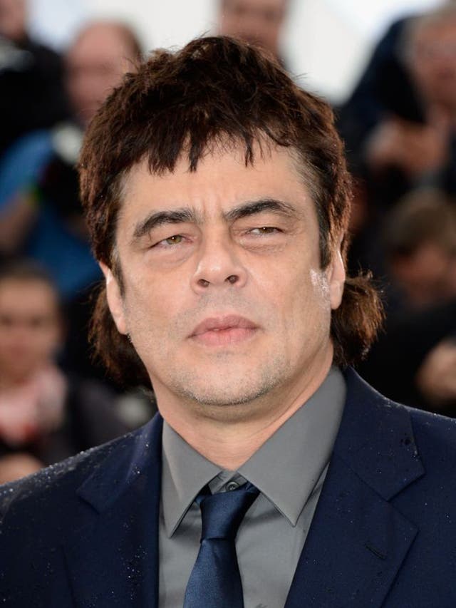 Benicio Del Toro at the 'Jimmy P: Psychotherapy Of A Plains Indian' photocall in Cannes