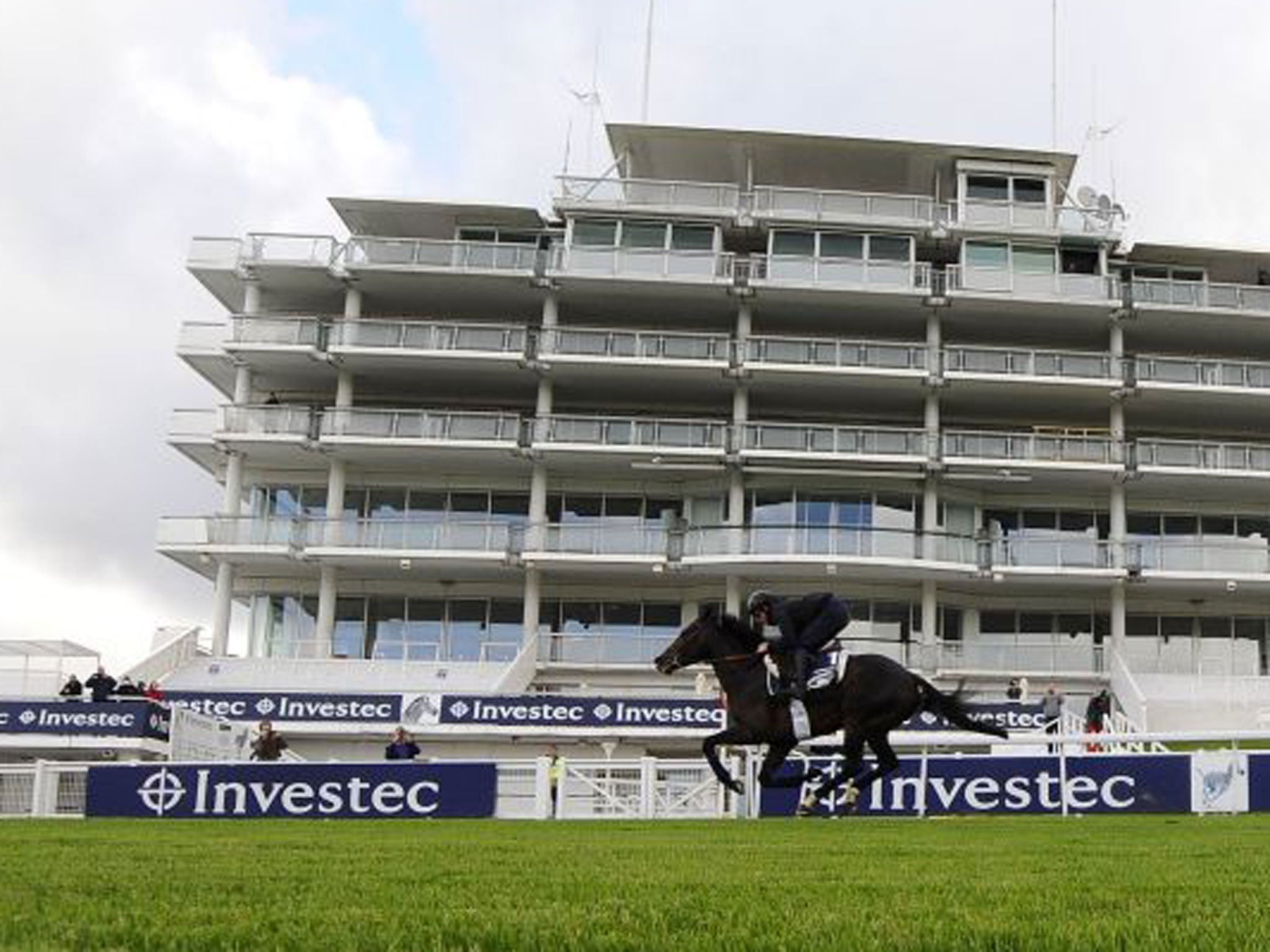 The French Derby challenger Ocovango works in front of the grandstand at Epsom yesterday