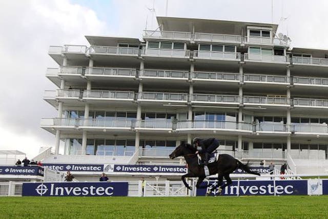 The French Derby challenger Ocovango works in front of the grandstand at Epsom yesterday