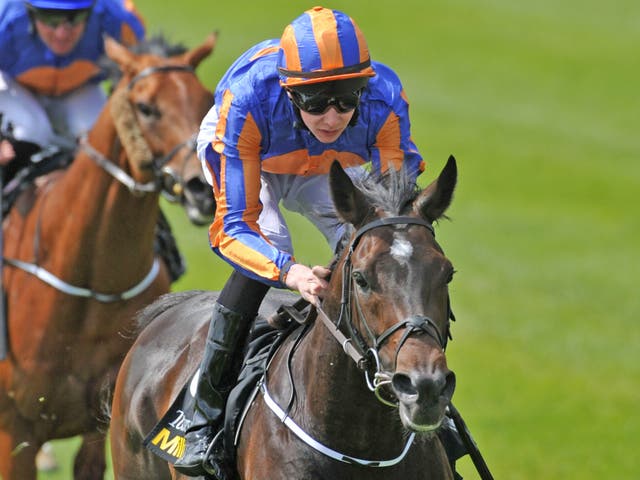 Magician, backed for the Derby after his Irish Guineas win, was last night all but ruled out of Epsom