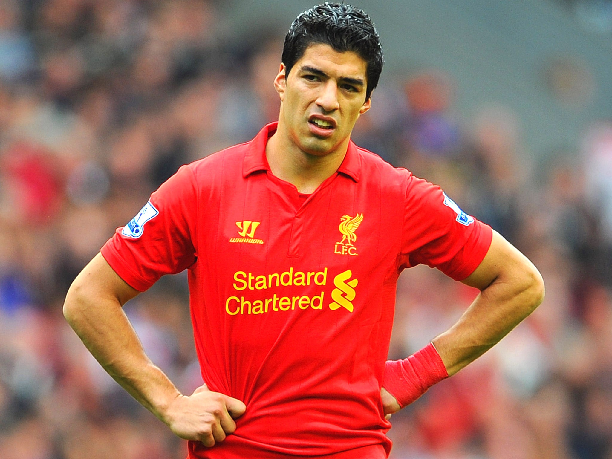 Luis Suarez is currently serving a 10-match ban for biting