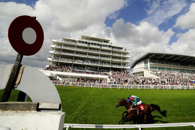 Good weather is expected for this weekend's Epsom Derby