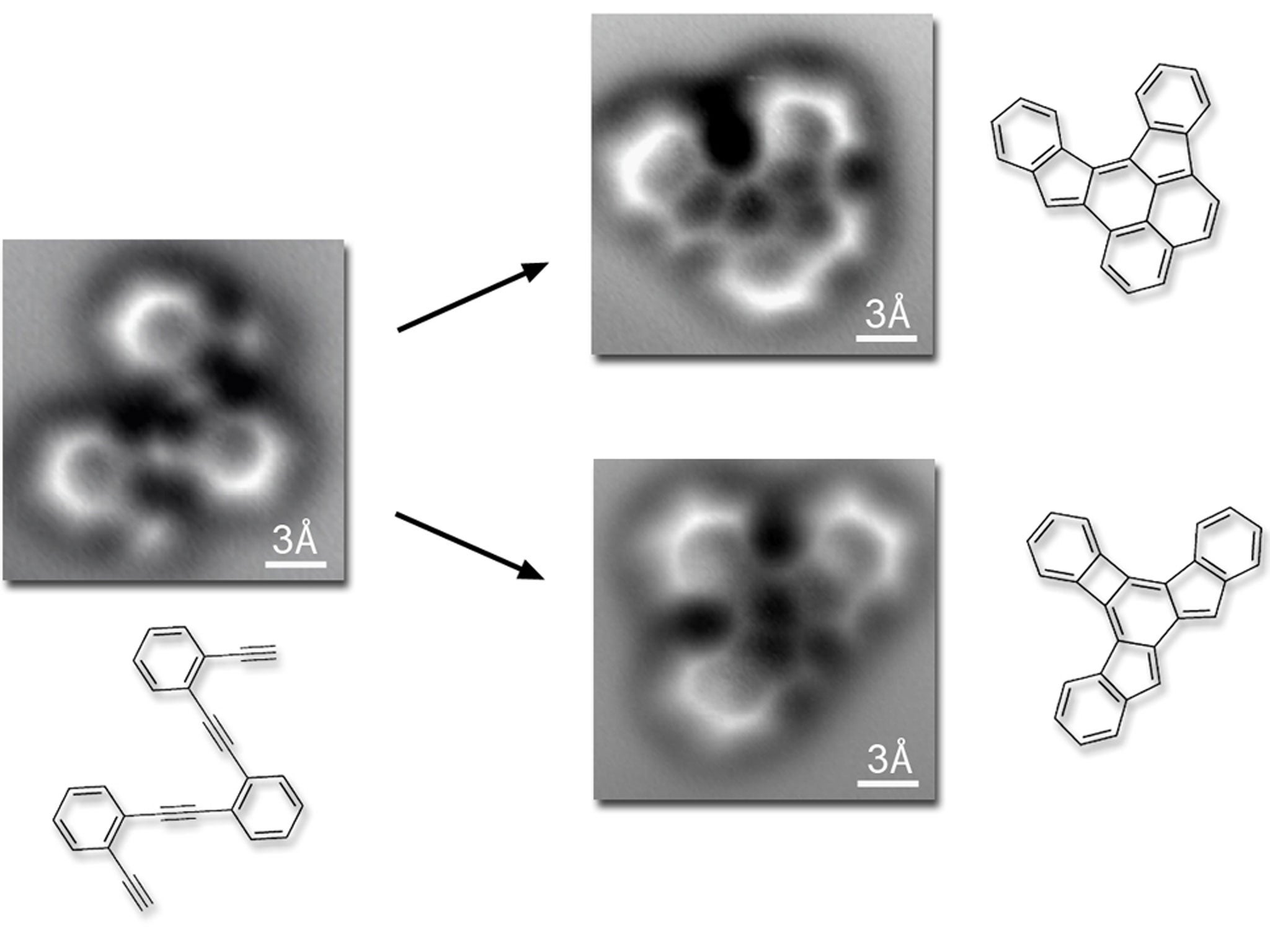 Молекул под микроскопом 26 фото
