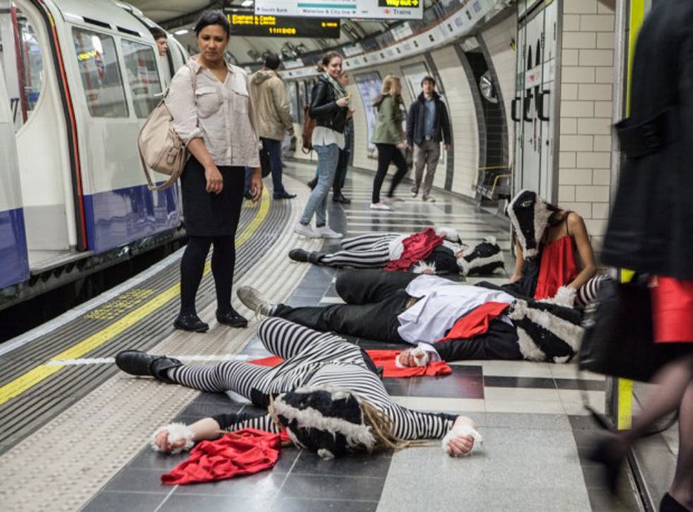 Badger activists demonstrate on the London Underground