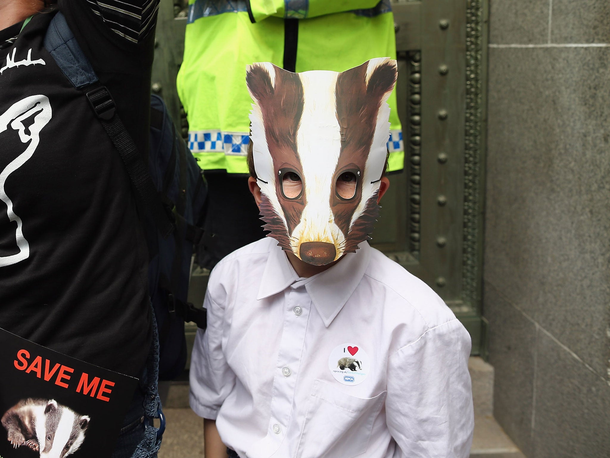 A badger supporter in London on Saturday