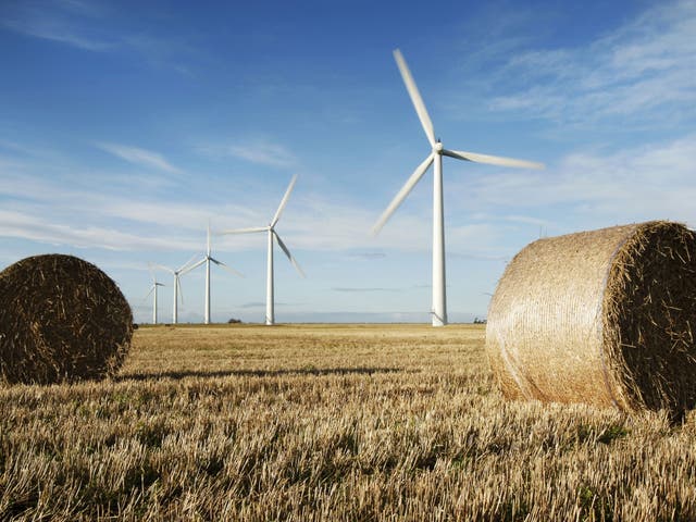Bumper harvest: Westmill Wind Farm Co-operative produces enough green electricity to power more than 2,500 homes, cutting carbon dioxide emissions