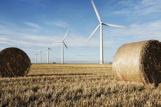 Bumper harvest: Westmill Wind Farm Co-operative produces enough green electricity to power more than 2,500 homes, cutting carbon dioxide emissions