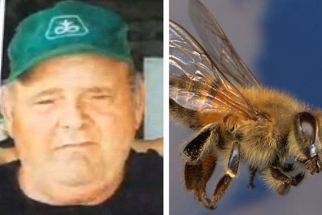 Larry Goodwin had been using a tractor to help a friend build a brush pile on Saturday afternoon when he disturbed a large Africanized honey bee hive concealed in a chicken coop.