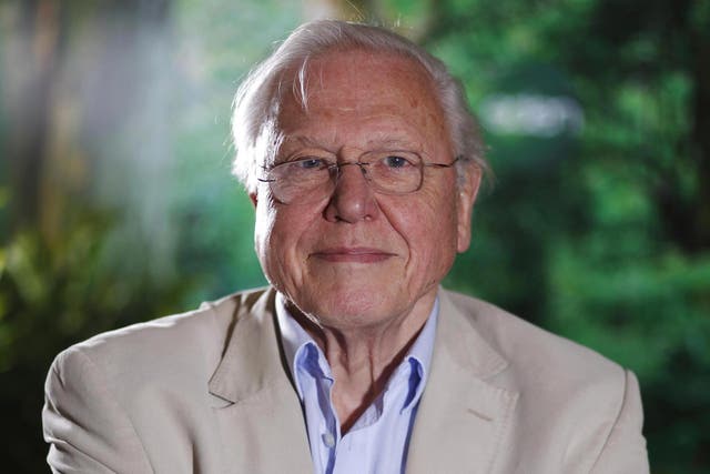 Sir David Attenborough who is set to undergo surgery to insert a pacemaker