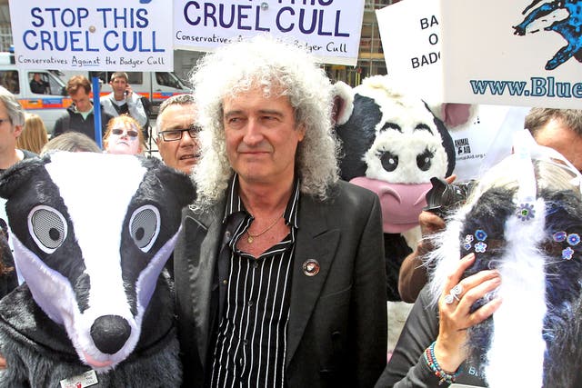Brian May joins a march against the badger cull  