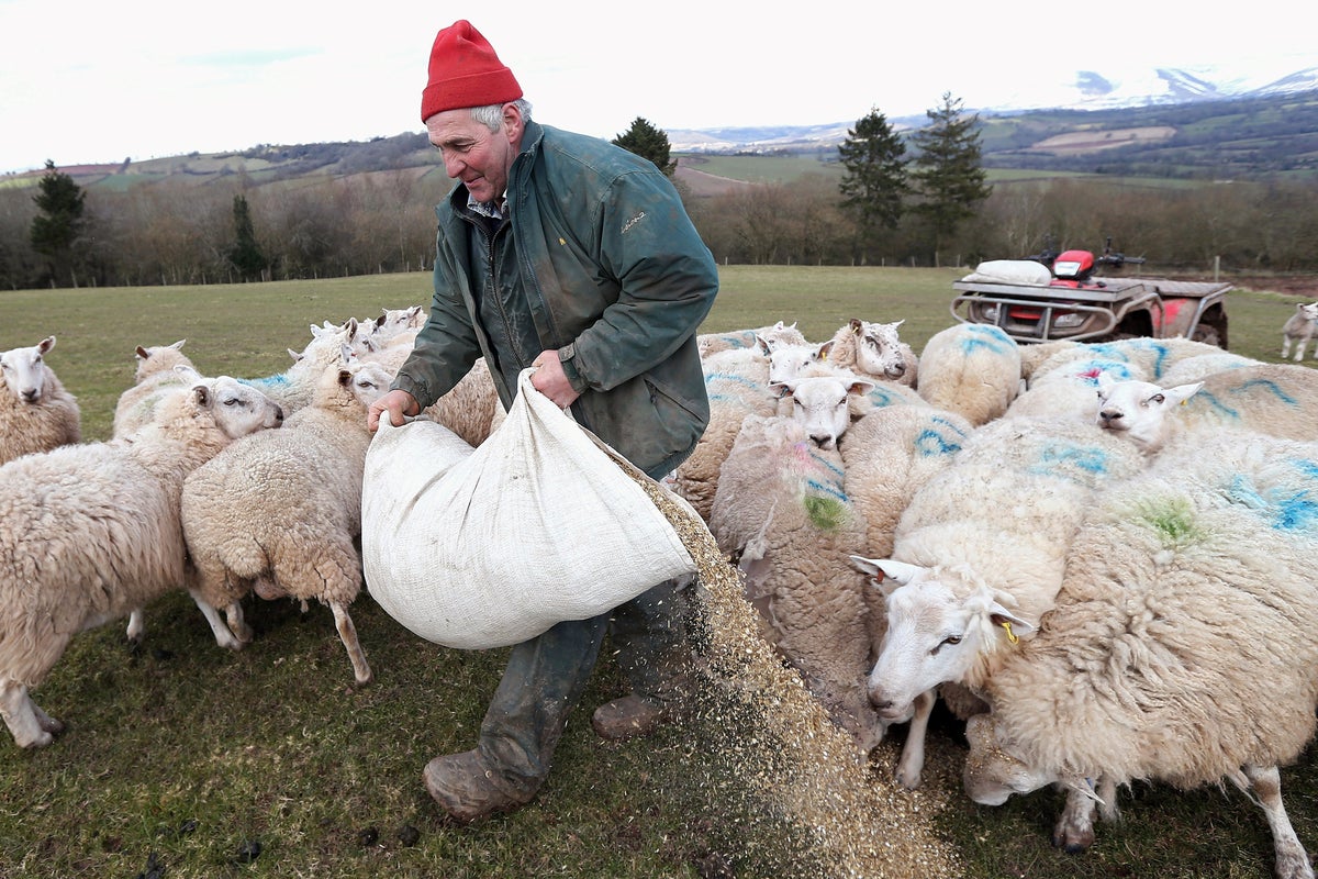 Less than 1% of British workers now employed in agriculture for first ...