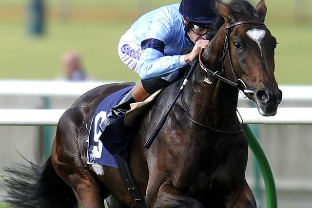 Sir Michael Stoute wants to ease the highly rated Telescope back