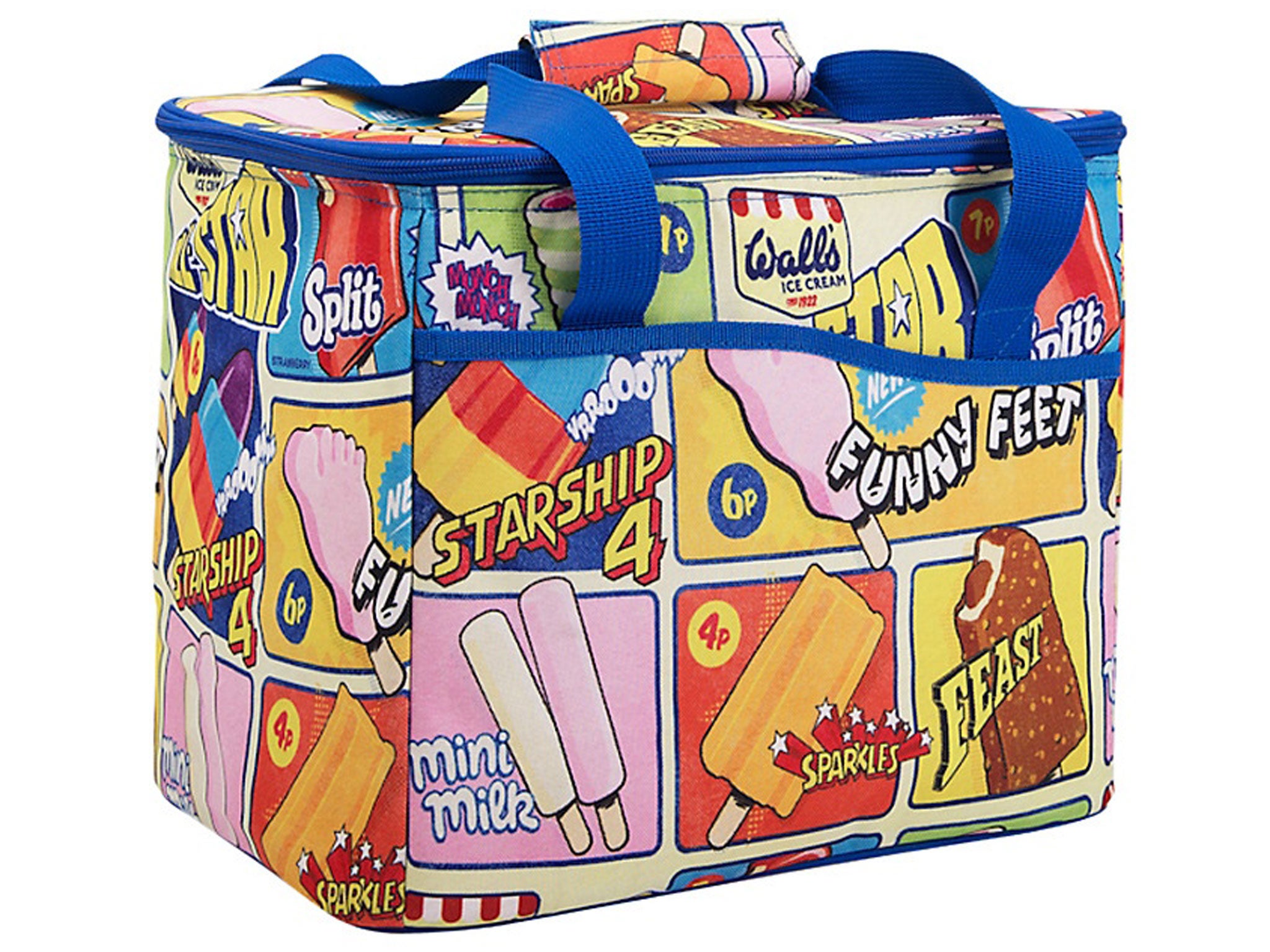 The 10 Best food coolers The Independent