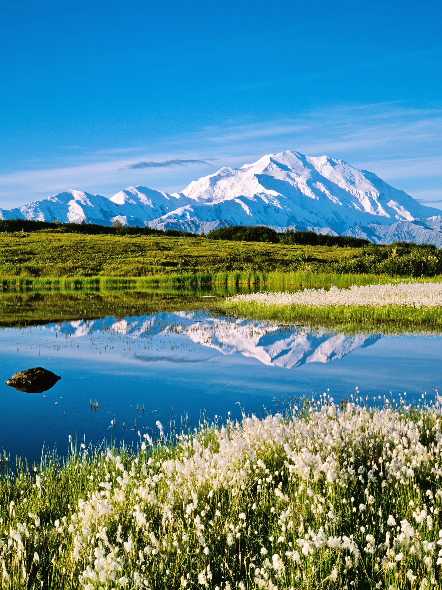 Peak form: Mt McKinley rises more than 20,000ft